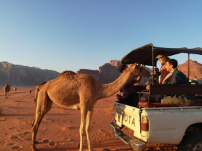 Отель Authentic Bedouin Experience  Wadi Rum